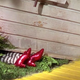 Illustration for article titled NBC drops Emerald City, the gritty and depressing Wizard Of Oz that nobody wanted